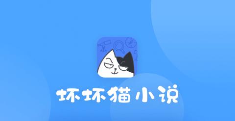 坏坏猫