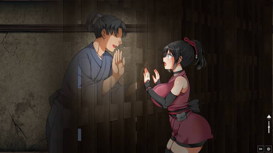 忍堕汉化版