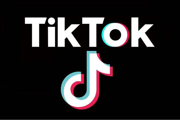 tiktok官方网站登录入口