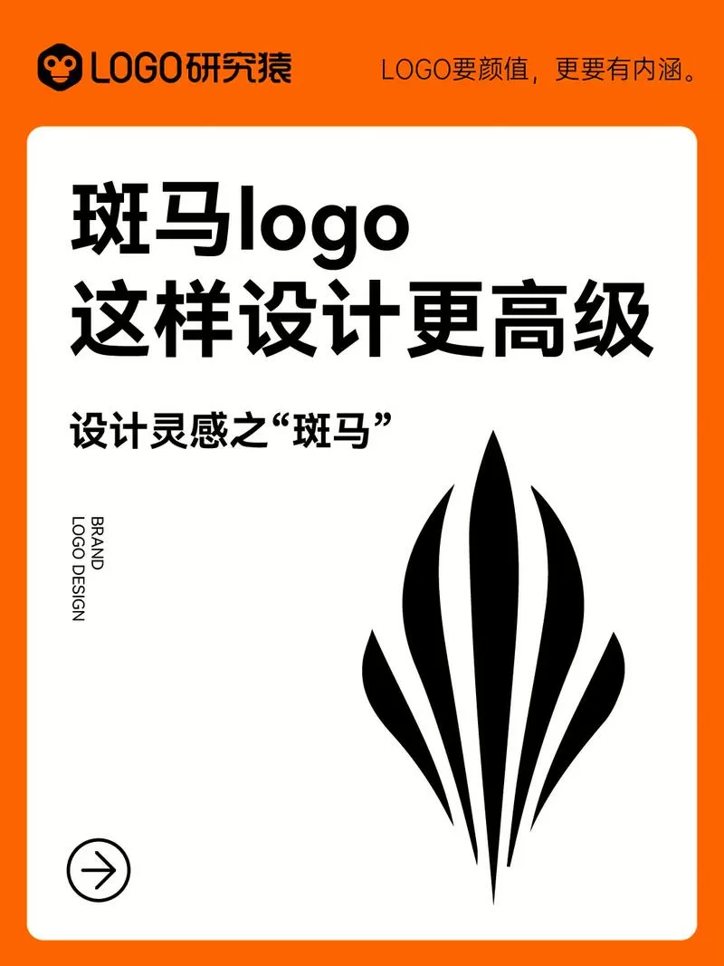 斑马视频去广告版最新版