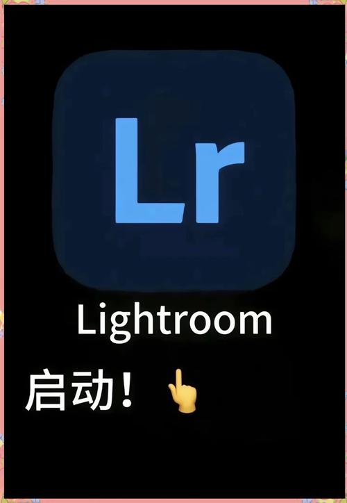 lr安卓中文破解版