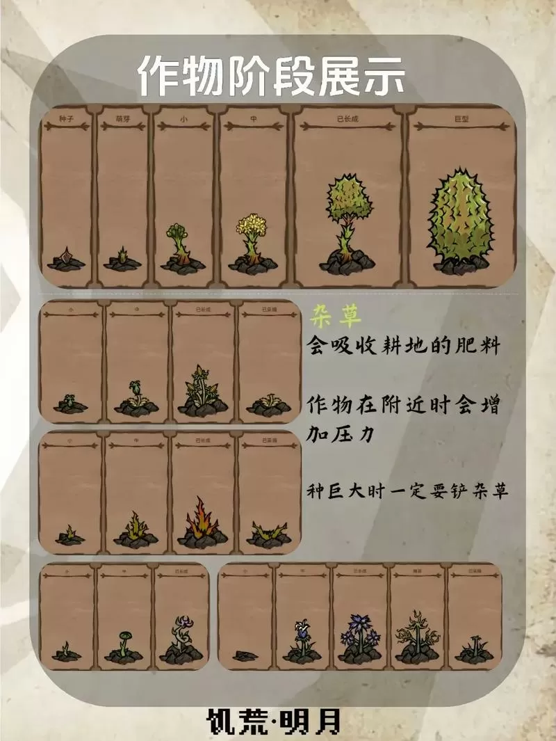 挨饿荒野怎么种地