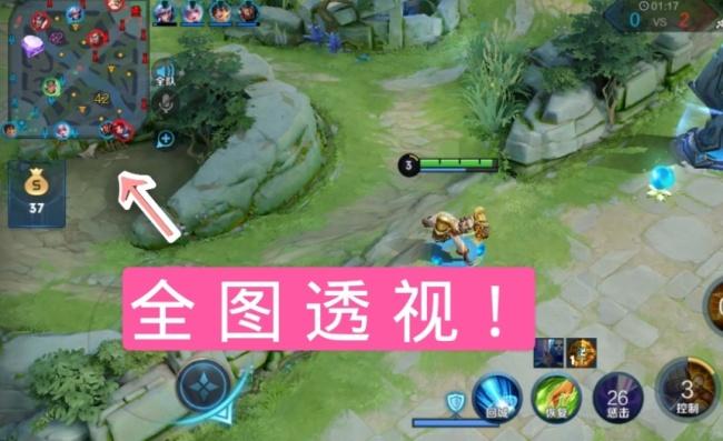 王者荣耀全视角透视插件