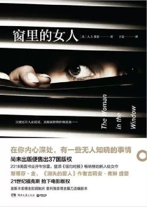 窗里的女人小说