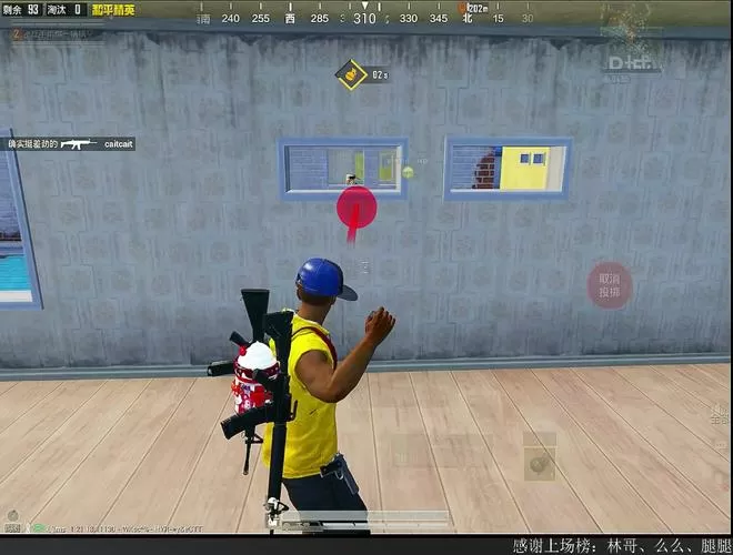 小灰灰直装包和平精英