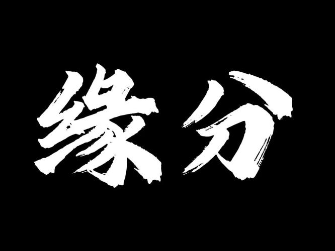 缘分小说