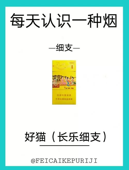 20元的中支好猫