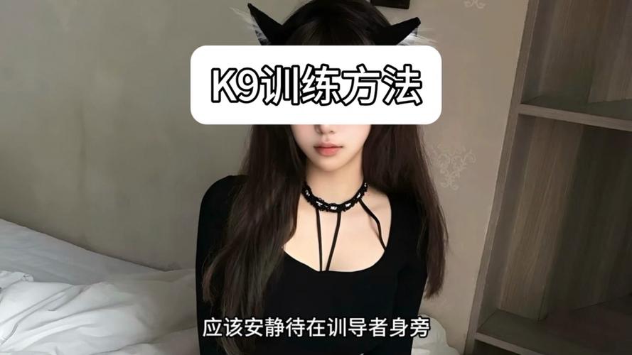 字母圈k9日常训练任务