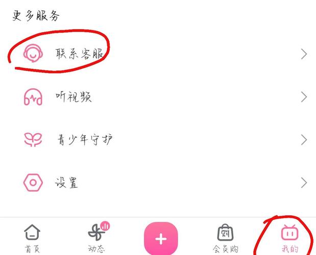 b站怎么退回旧版本