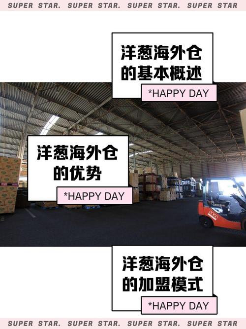 洋葱海外仓官方网站