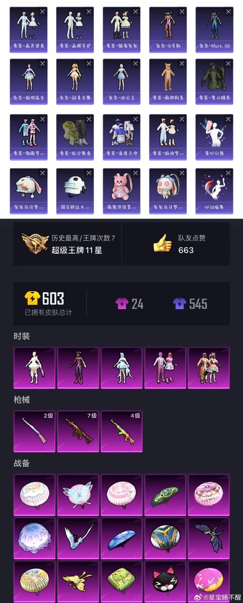 dy追踪科技和平精英永久vip无广告