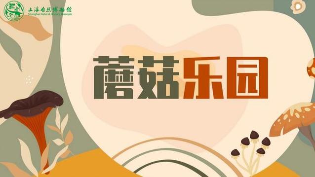 蘑菇乐园重制版