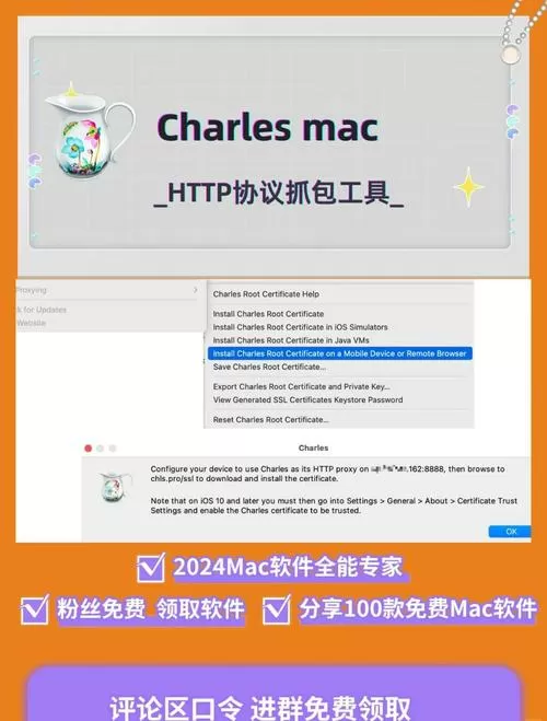 抓包工具有什么用