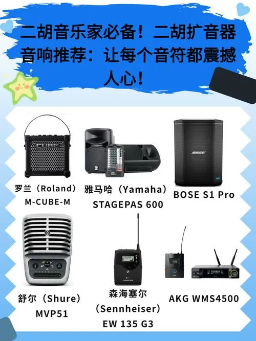 拉二胡选啥音箱好