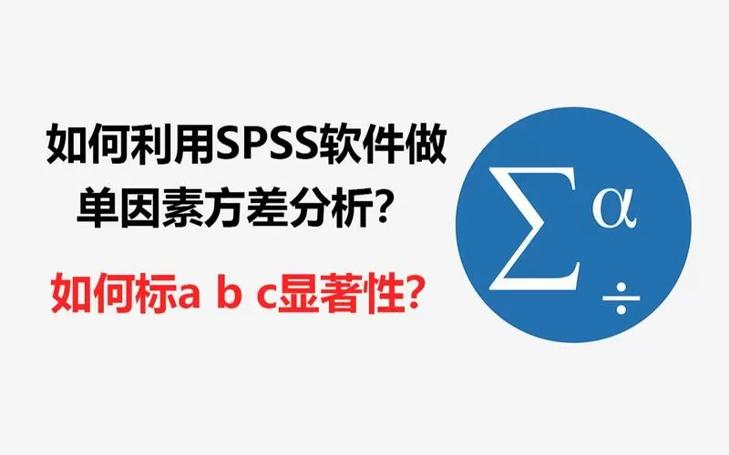SPSSPRO
