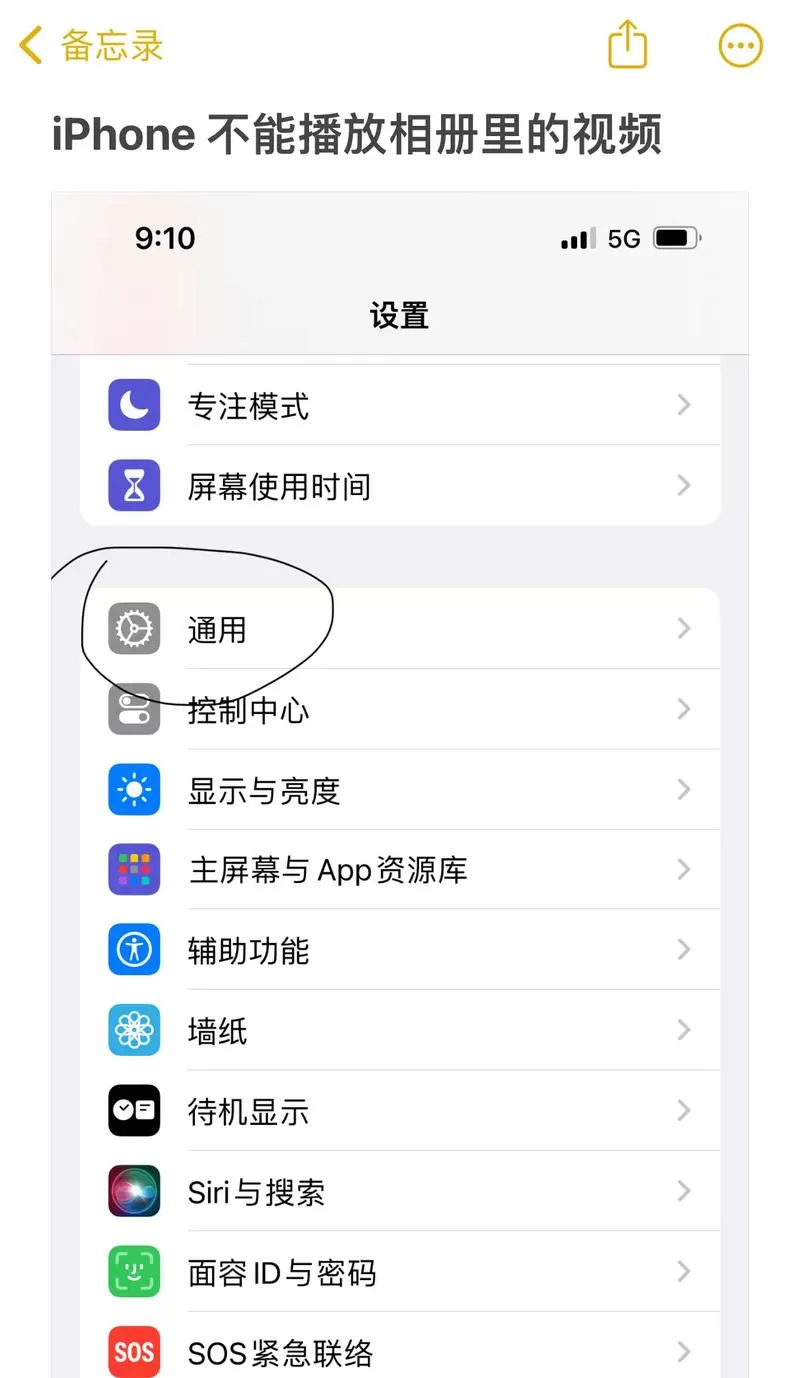 苹果手机小红书视频不能播放