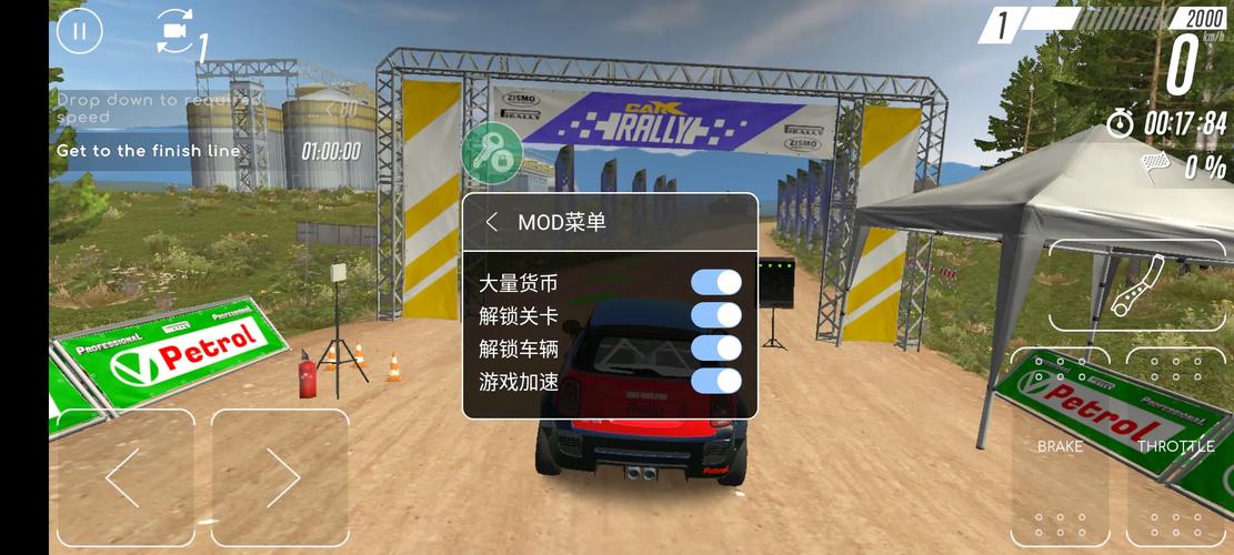 carx拉力赛破解版最新版