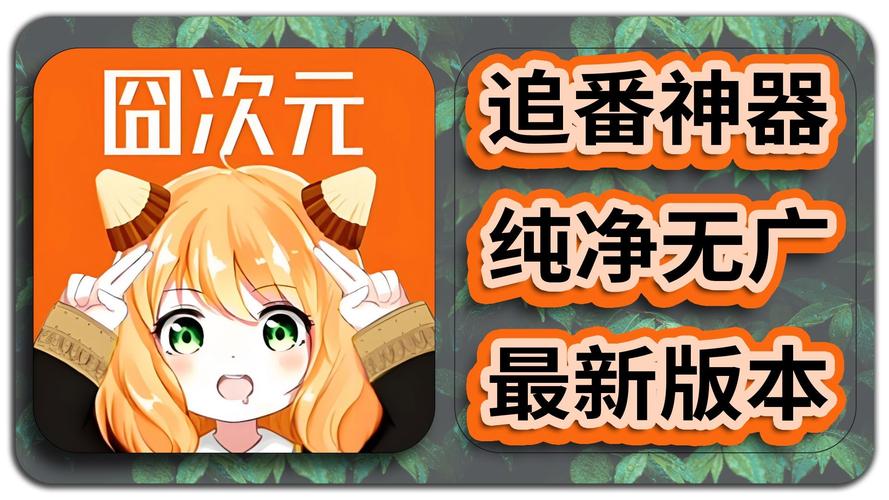 囧次元纯净版下载安装官方
