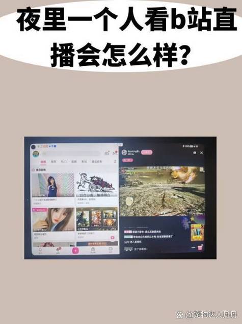 晚上看B站直播软件净化版
