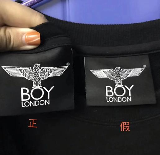 boylove正版官方真版下载