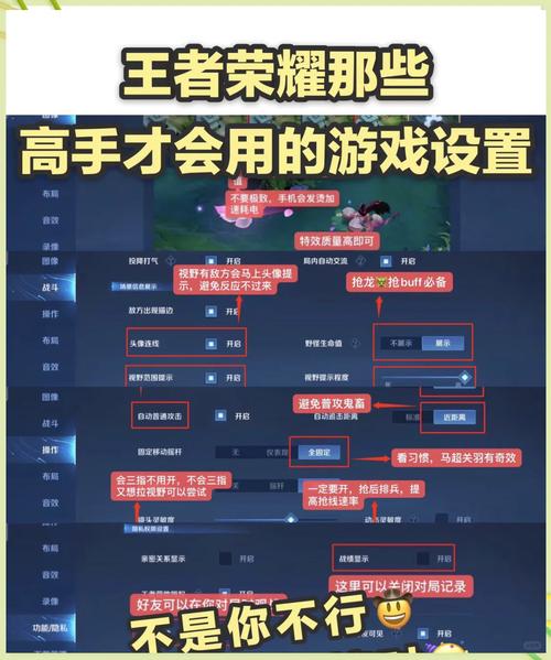王者内透脚本