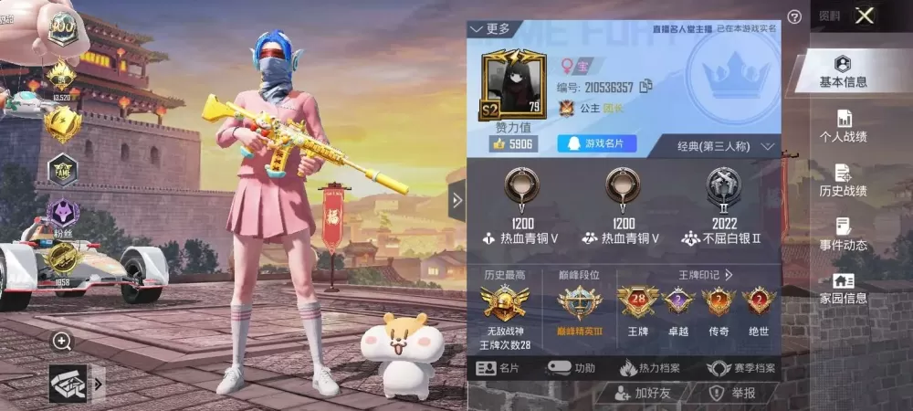 将和平精英隐藏