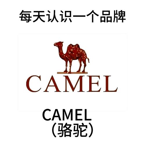 沙漠骆驼到底是谁写的