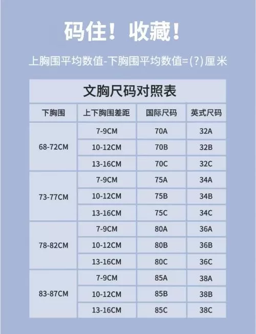 42的内衣胸围多少厘米