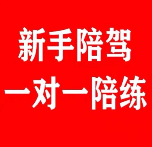 找陪练一般练几天上路