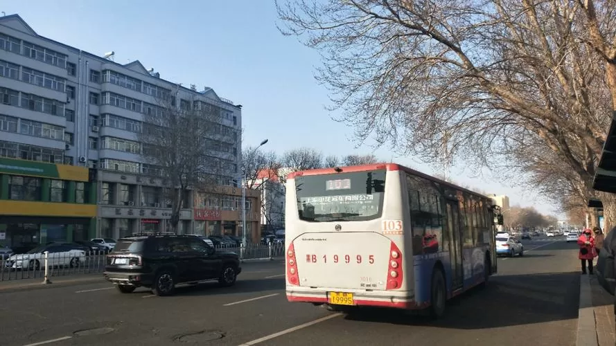 齐齐哈尔103路公交车路线