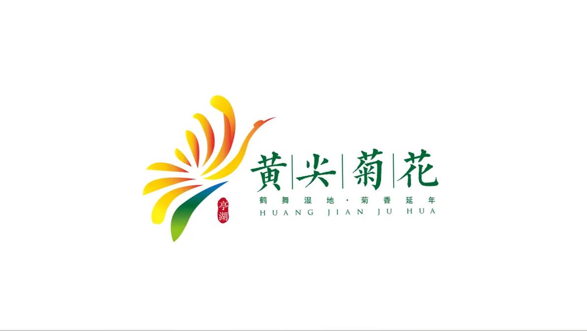 菊花视频破解版2023