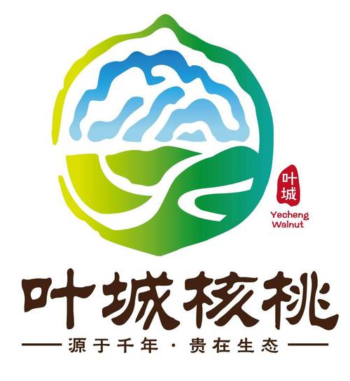 核桃开发者创作平台