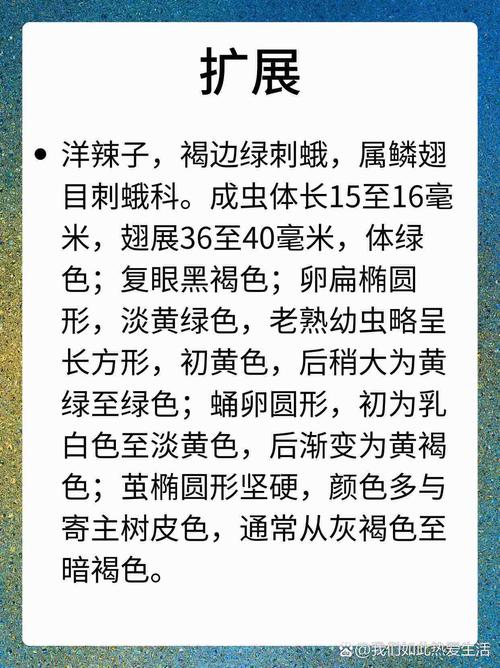 七鹤定制绿体2.7