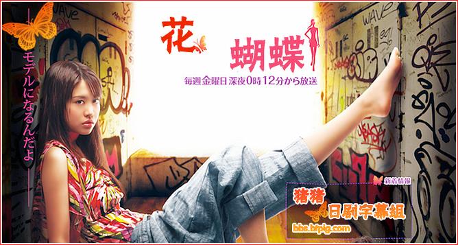 花蝴蝶最新免费版