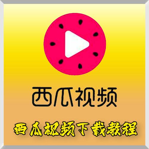 西瓜视频电脑版安装入口
