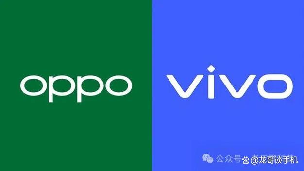 vivo双开光遇