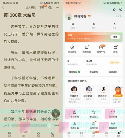 番茄小说最新版去广告vip