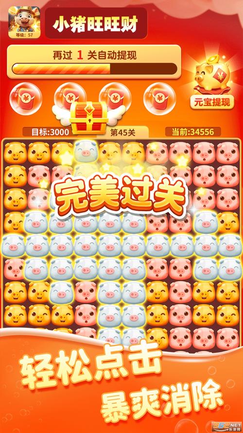 小猪旺旺财赚钱版