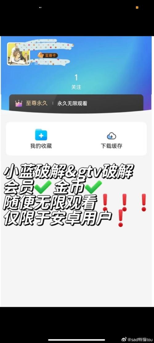小蓝破解版卡密永久vip版
