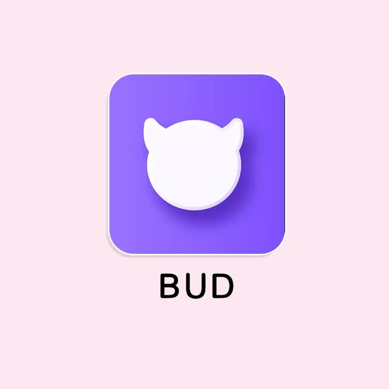 bud官方正版最新2024光环加速版