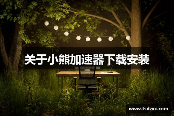 小熊加速器npv