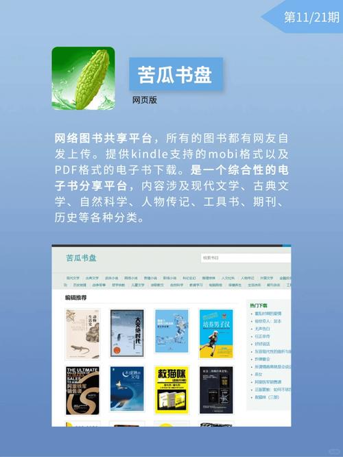 苦瓜书盘免费电子书