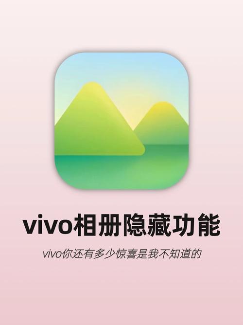 vivo相册下载8.6.5.6