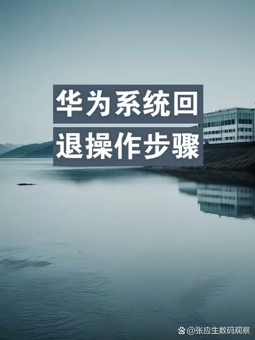 华为p80怎么退回旧版本