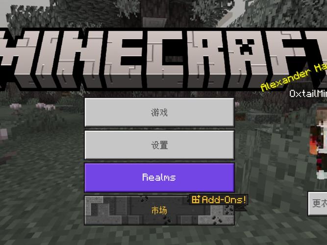 我的世界基岩版大全