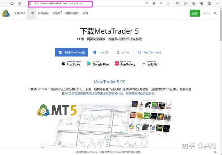 mt5平台官网