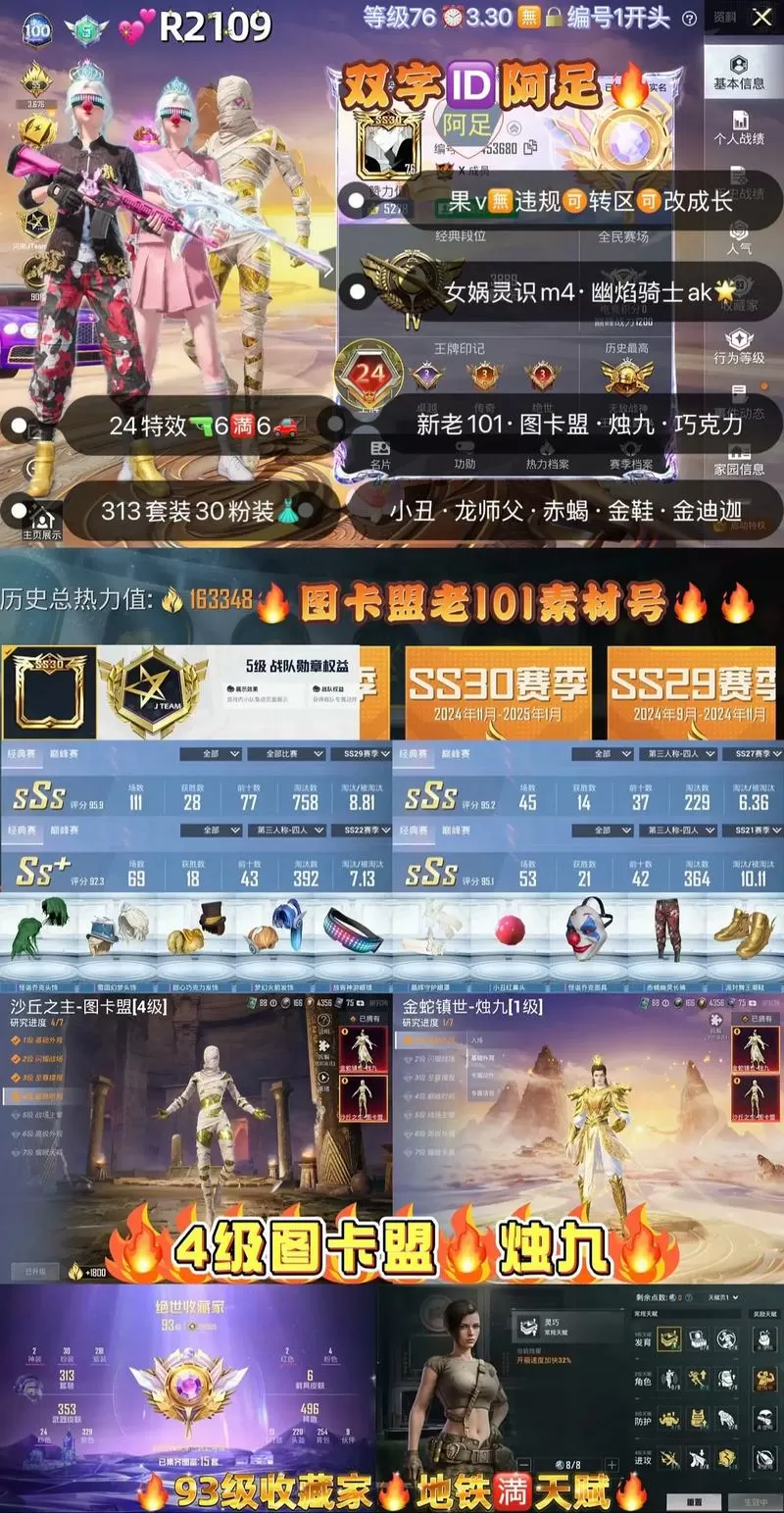 和平精英俩字ID