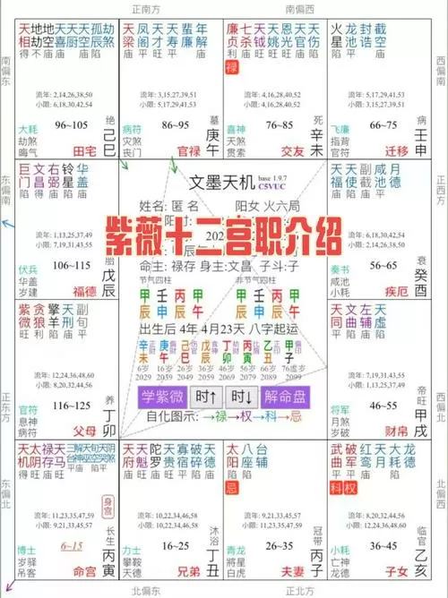 免费紫微命盘详解姻缘