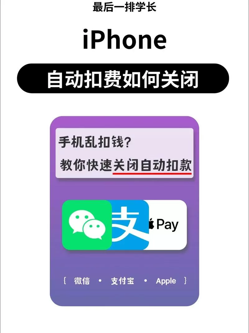 怎么关闭苹果付费功能