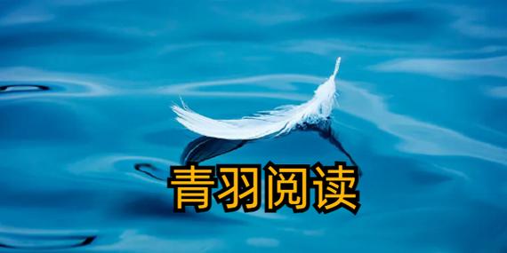 青羽阅读软件下载